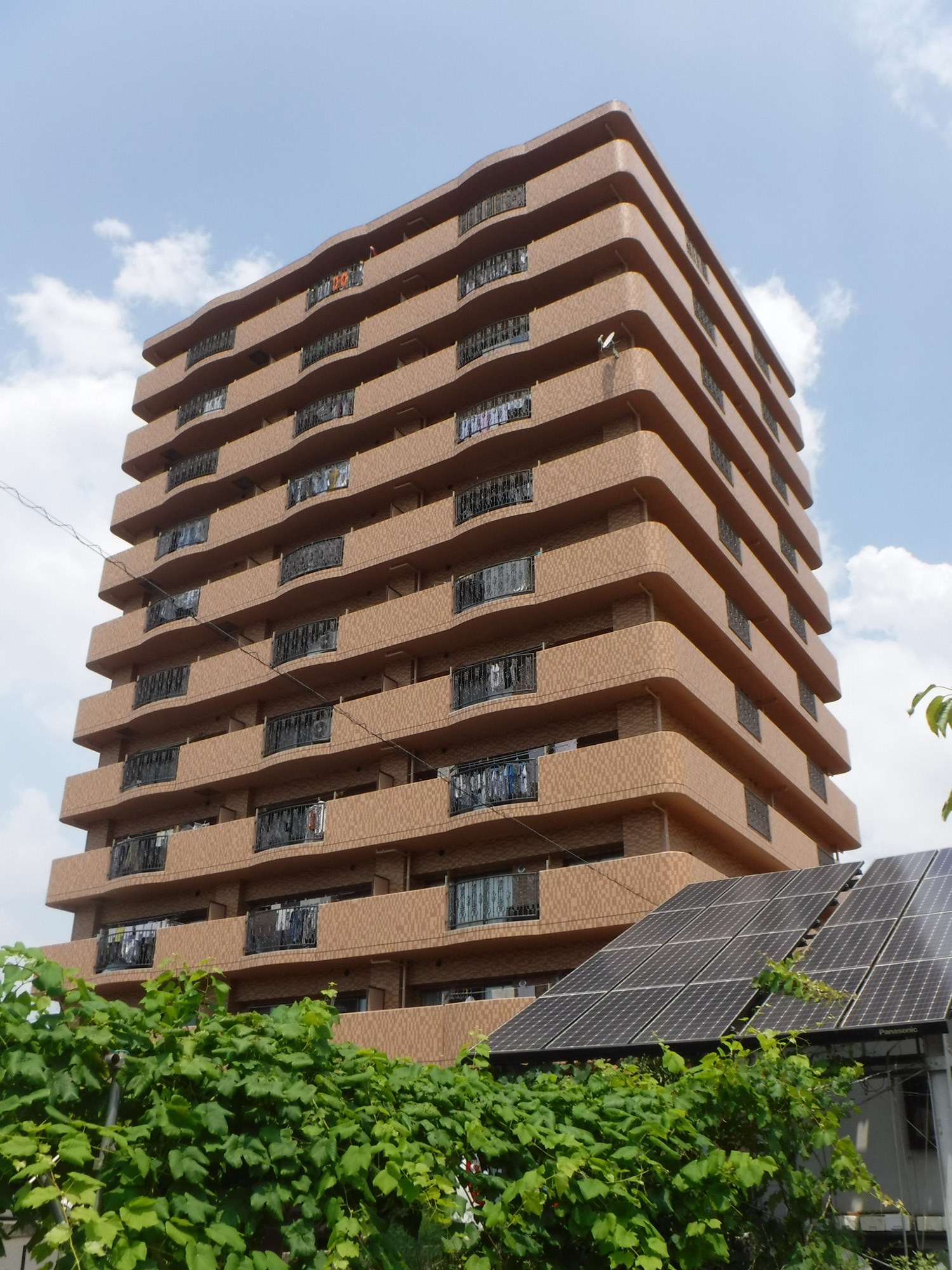 シティ トリエ 野上 町